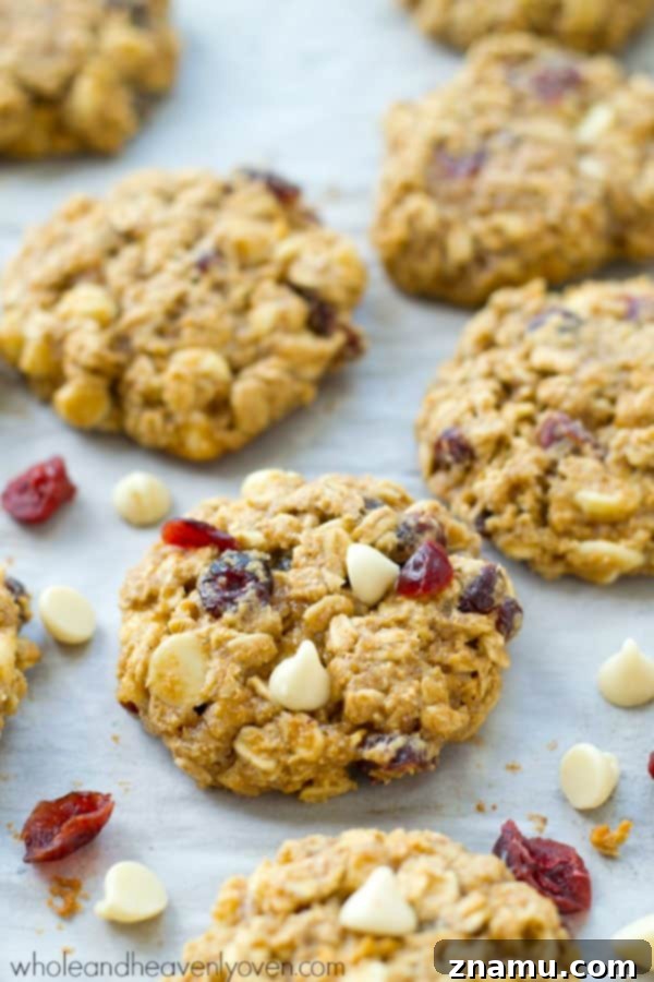 Crimson & Cream Oatmeal Cookie Bliss 3 Closeup of warm Cranberry White Chocolate Oatmeal Cookies, showcasing their chewy texture