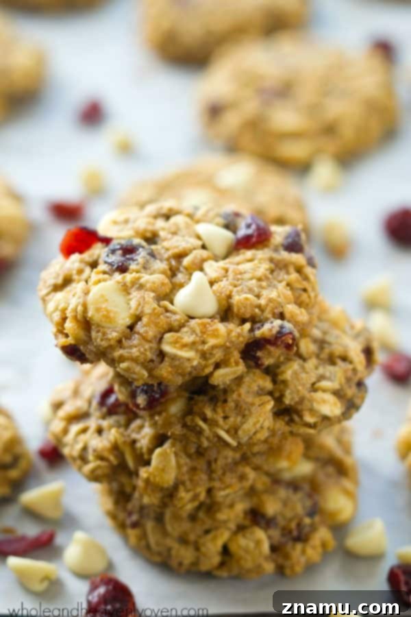 Crimson & Cream Oatmeal Cookie Bliss 5 Freshly baked Cranberry White Chocolate Oatmeal Cookies on parchment paper