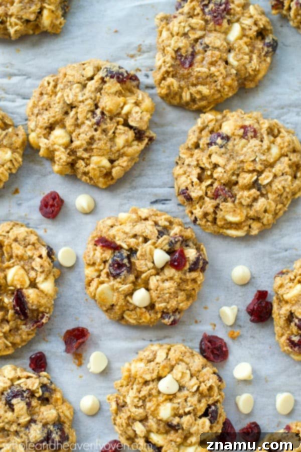 Crimson & Cream Oatmeal Cookie Bliss 6 Cranberry White Chocolate Oatmeal Cookie dough balls on parchment paper, ready for baking