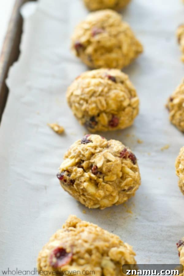 Crimson & Cream Oatmeal Cookie Bliss 7 Baked Cranberry White Chocolate Oatmeal Cookies cooling on a rack