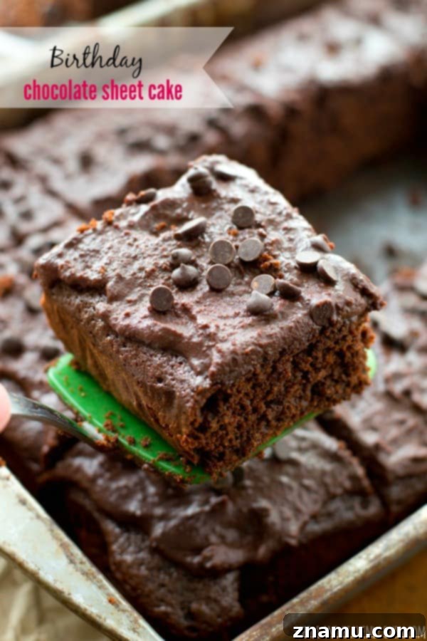 Decadent Birthday Chocolate Bundt Cake 11 Super-moist classic chocolate sheet cake, a simple yet delicious hit for any birthday party.