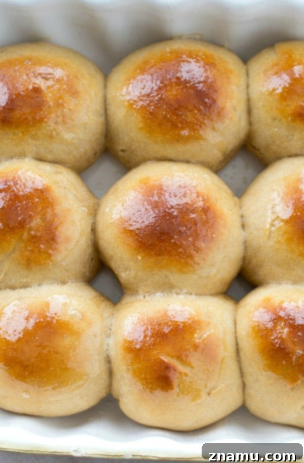 Garlic Rosemary Parmesan Knots 8 Homemade Copycat King's Hawaiian Bread Rolls are incredibly soft, sweet, and irresistible, perfect for sandwiches or as a side dish.