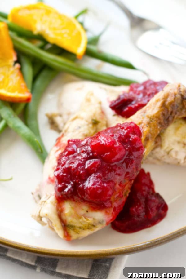 Heavenly Harvest Thanksgiving 2 A Whole and Heavenly Thanksgiving Feast Ebook - The ultimate guide to making this year's Thanksgiving feast the most memorable and delicious one yet! 25+ family-approved recipes guaranteed to become favorites, featuring delectable Cranberry Apple Compote, Thanksgiving Pumpkin Pie, and Citrus-Herb Roasted Turkey.