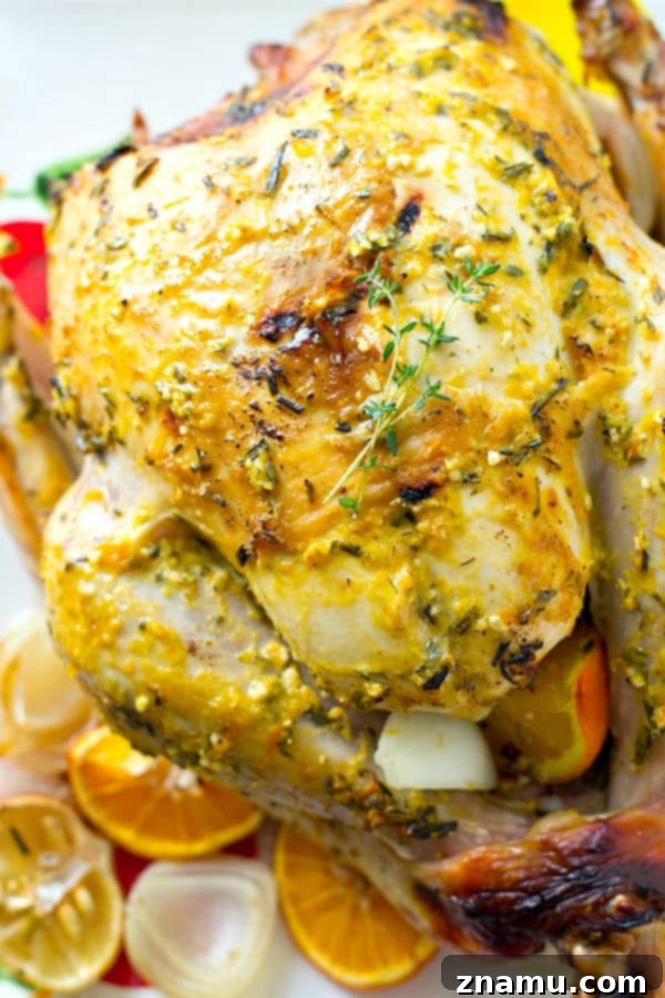 Heavenly Harvest Thanksgiving 3 A Whole and Heavenly Thanksgiving Feast Ebook - The ultimate guide to making this year's Thanksgiving feast the most memorable and delicious one yet! 25+ family-approved recipes guaranteed to become favorites, featuring delectable Cranberry Apple Compote, Thanksgiving Pumpkin Pie, and Citrus-Herb Roasted Turkey.