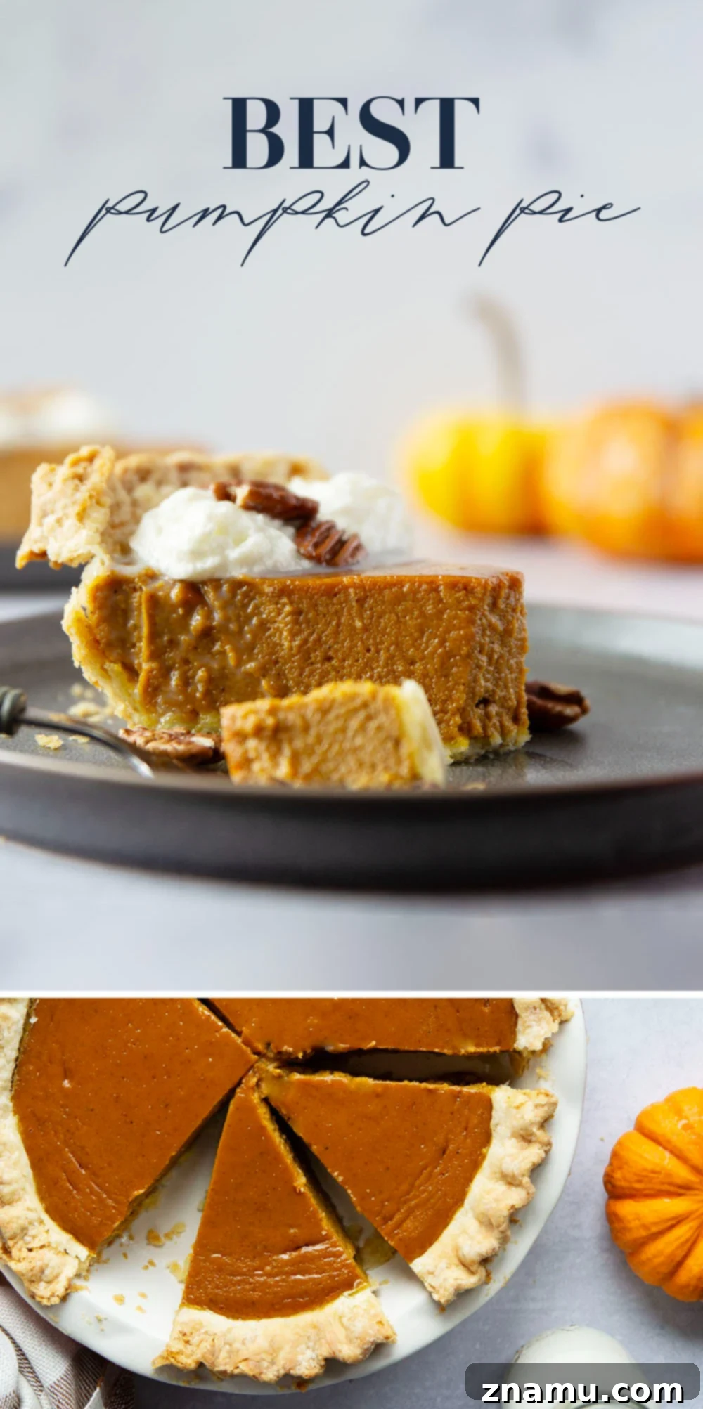 The Ultimate Pumpkin Pie 7 A beautifully presented whole pumpkin pie on a cooling rack, garnished with whipped cream.