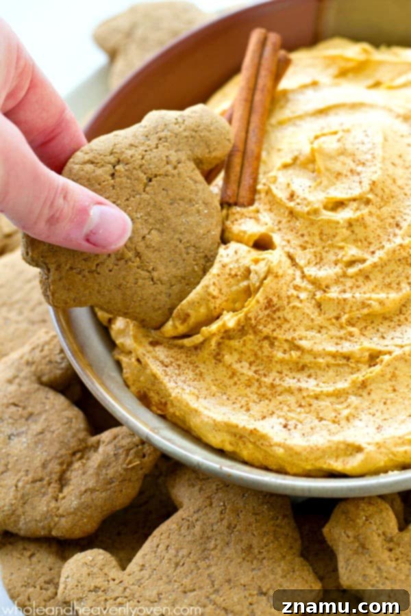 Spiced Pumpkin Cheesecake Dip with Zesty Gingersnap Dippers 4 Overhead shot of pumpkin cheesecake dip surrounded by a variety of homemade turkey gingersnap cookies, ready for a holiday party. @WholeHeavenly