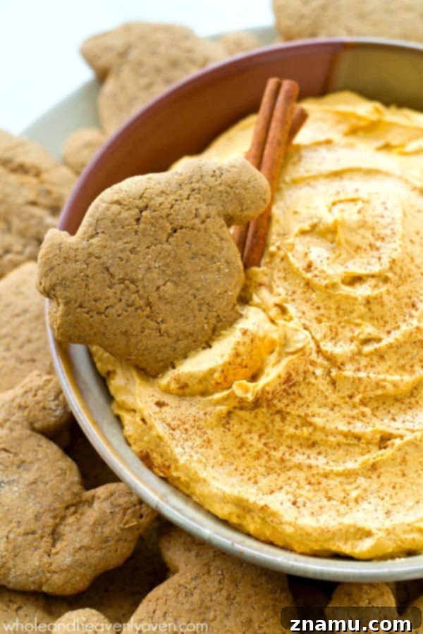 Spiced Pumpkin Cheesecake Dip with Zesty Gingersnap Dippers 6 A close-up of a hand dipping a turkey-shaped gingersnap cookie into the pumpkin cheesecake dip, highlighting the perfect pairing. @WholeHeavenly