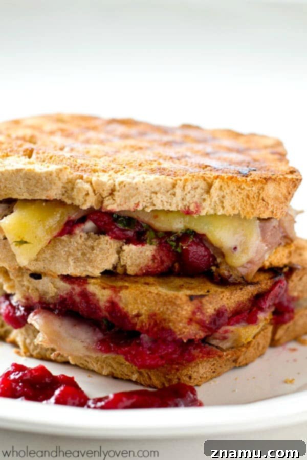 The Cranberry Turkey Mozzarella Melt 2 Ultimate Leftover Turkey Cranberry Mozzarella Panini sandwich, perfect for post-Thanksgiving meals