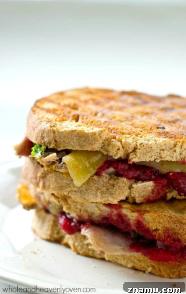 The Cranberry Turkey Mozzarella Melt 3 Delicious Leftover Turkey Cranberry Mozzarella Panini, showing melted cheese and toasted bread
