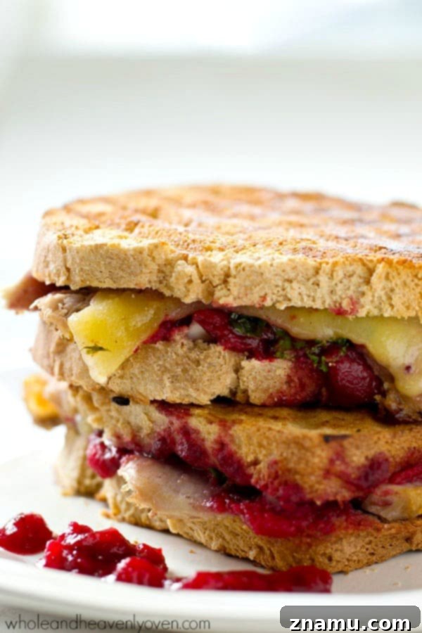The Cranberry Turkey Mozzarella Melt 4 Close-up of a Leftover Turkey Cranberry Mozzarella Panini with golden-brown bread