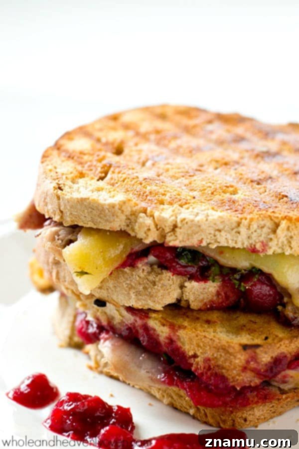 The Cranberry Turkey Mozzarella Melt 5 Ingredients for Leftover Turkey Cranberry Mozzarella Panini laid out on a board