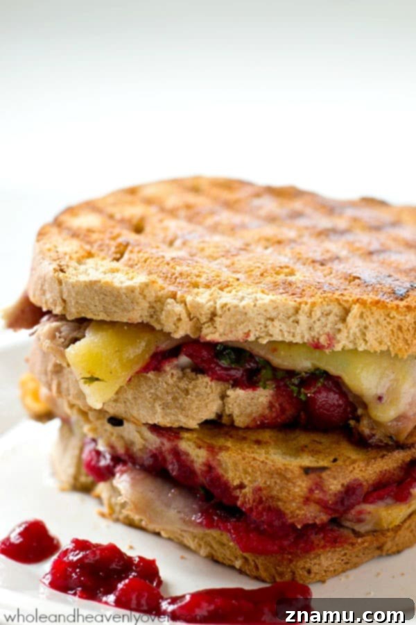 The Cranberry Turkey Mozzarella Melt 6 Prepared Leftover Turkey Cranberry Mozzarella Panini ready to be grilled