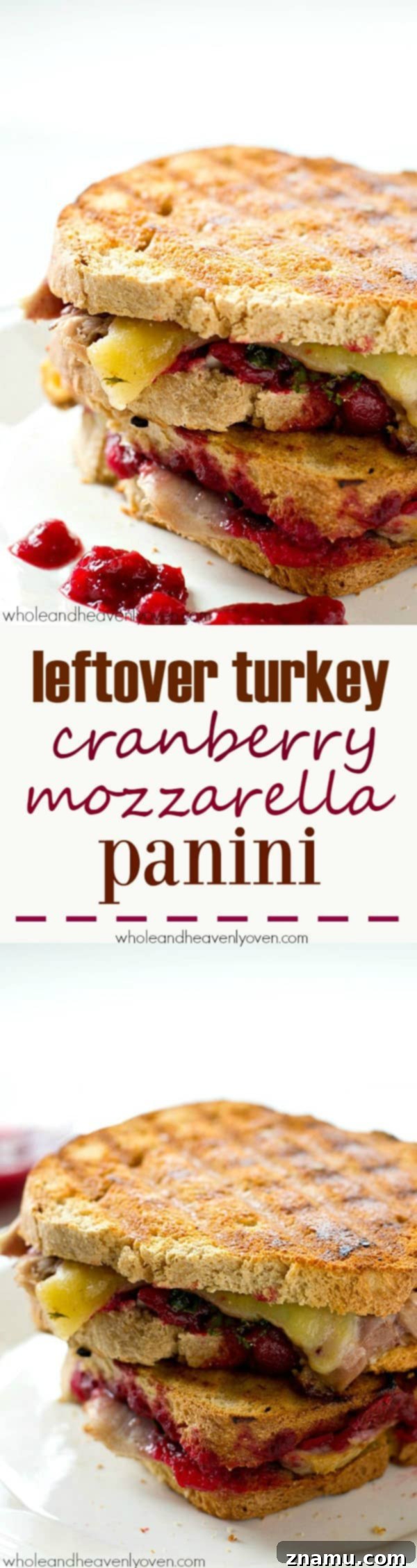 The Cranberry Turkey Mozzarella Melt 7 Finished and sliced Leftover Turkey Cranberry Mozzarella Panini, showcasing layers of turkey, cranberry, cheese, and kale