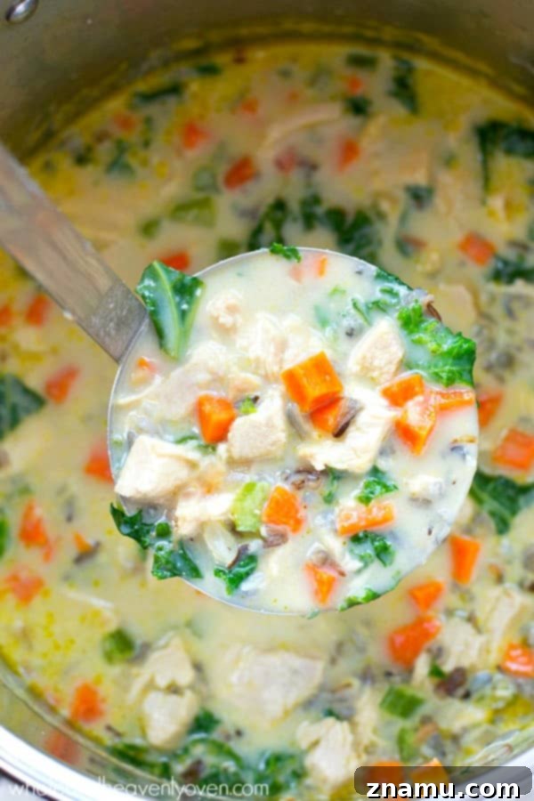 Creamy Turkey Wild Rice Revival 5 Close-up of Creamy Turkey Wild Rice Soup in a serving bowl