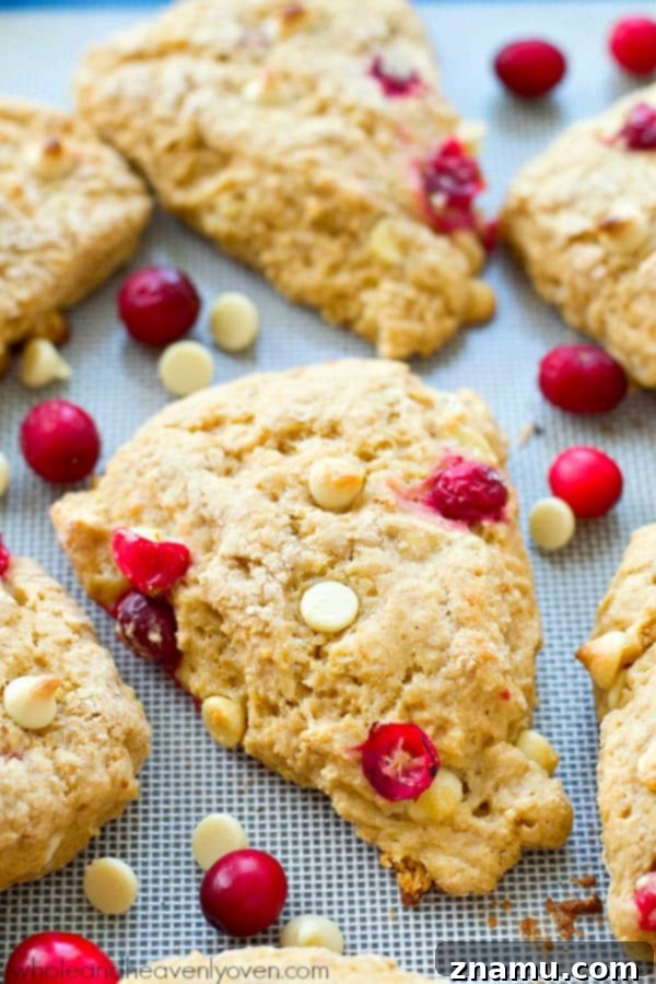 Indulgent White Chocolate Cranberry Scones 3 Closeup of a freshly baked White Chocolate Cranberry Bliss Scone