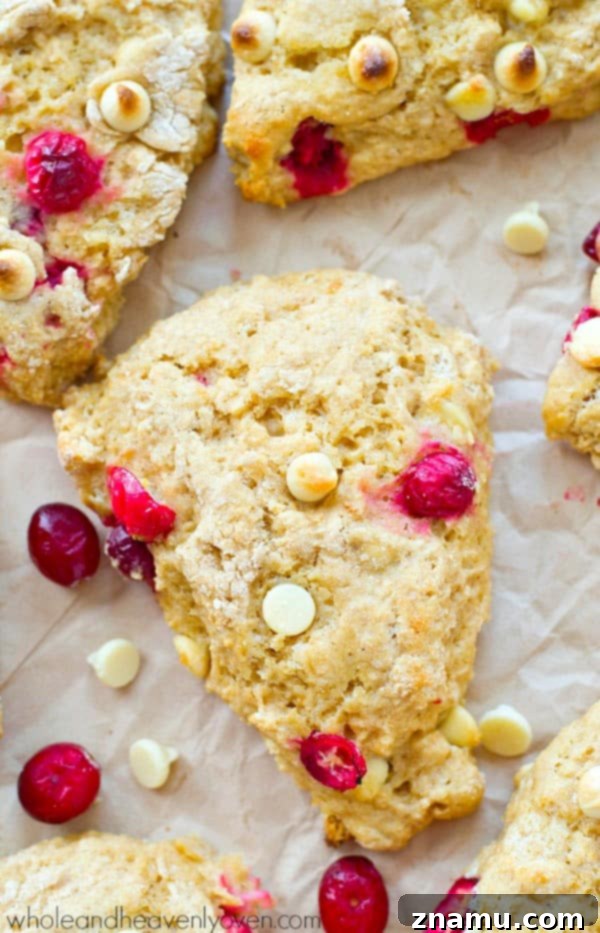 Indulgent White Chocolate Cranberry Scones 5 Close-up of a White Chocolate Cranberry Bliss Scone with visible white chocolate chips and cranberries