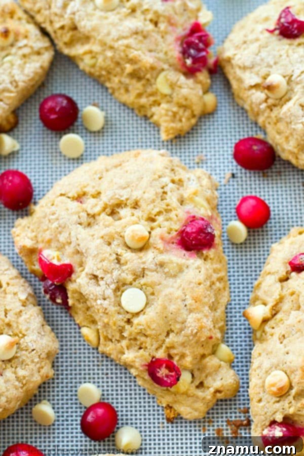 Indulgent White Chocolate Cranberry Scones 6 Side view of a stack of White Chocolate Cranberry Bliss Scones, garnished with a sprinkle of cranberries