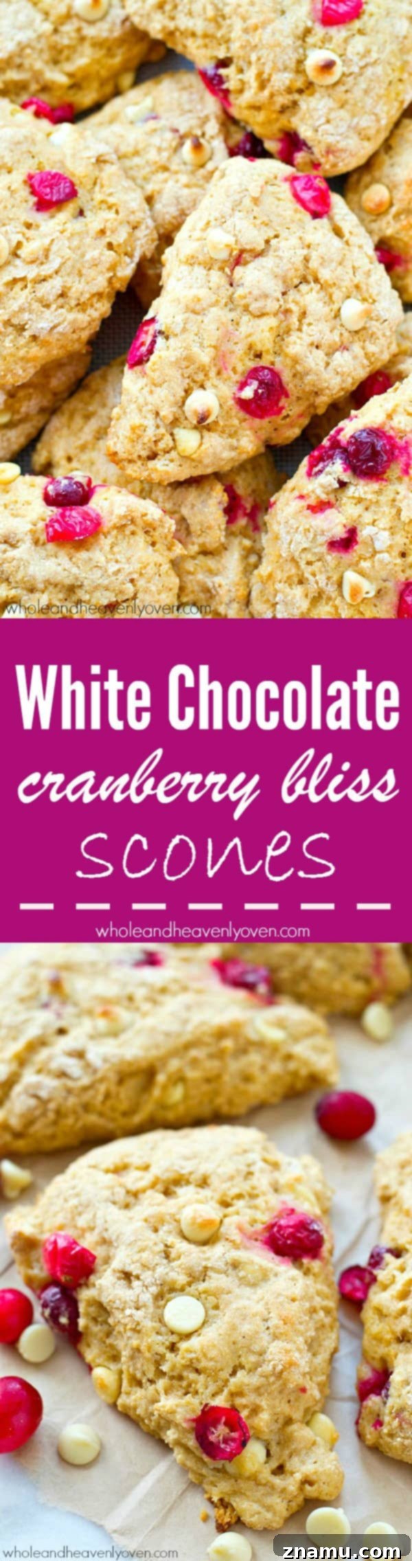 Indulgent White Chocolate Cranberry Scones 7 An overhead shot showcasing the delightful texture and ingredients of the Cranberry Bliss Scones