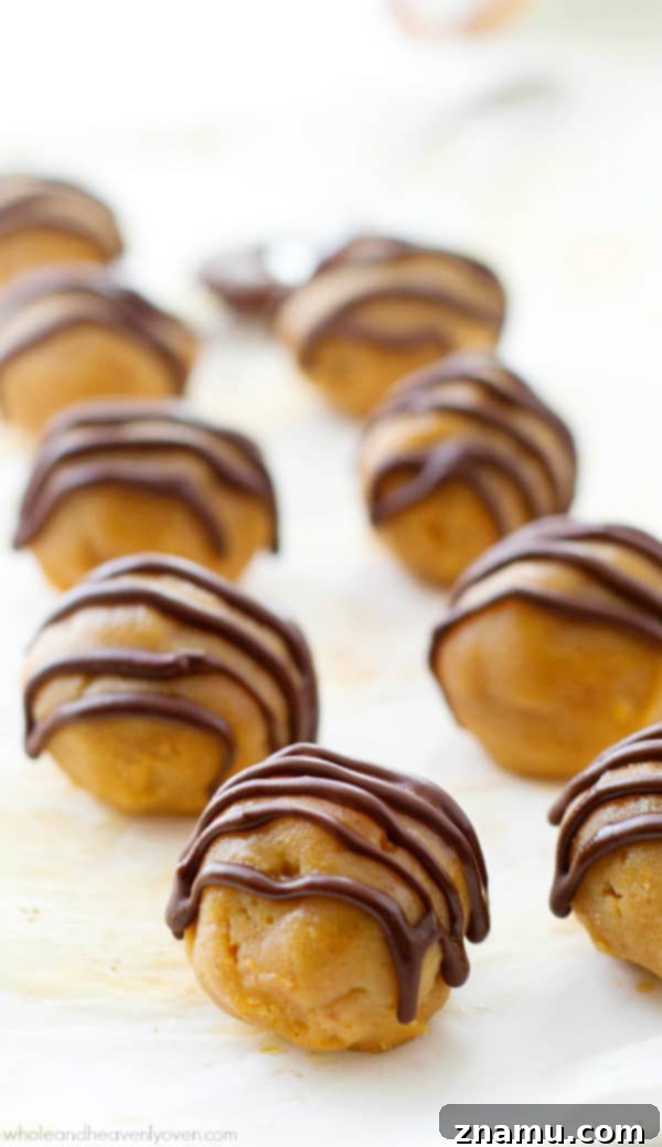 Wholesome Cashew Butter Cookie Dough Bark 12 Healthy no-bake truffles tasting exactly like a peanut butter cup, made with only 6 ingredients