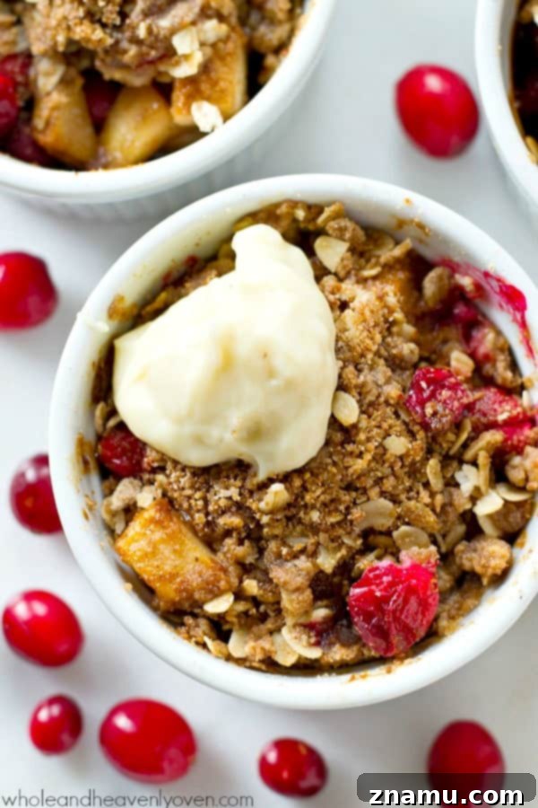 Mini Pear Cranberry Crisps for One 5 A close-up shot revealing the rich, bubbly pear and cranberry filling under a golden, crumbly oat streusel.