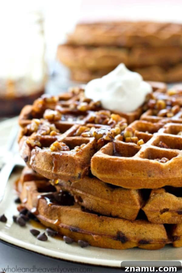 Pecan Maple Drizzled Gingerbread Chocolate Chip Waffles 3 Crisp on the outside, fluffy on the inside, and covered with an unbelievable pecan maple syrup, these gingerbread chocolate chip waffles are going to become a weekend favorite!