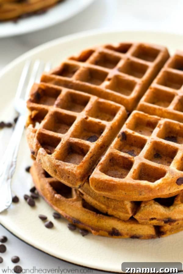 Pecan Maple Drizzled Gingerbread Chocolate Chip Waffles 4 Crisp on the outside, fluffy on the inside, and covered with an unbelievable pecan maple syrup, these gingerbread chocolate chip waffles are going to become a weekend favorite!