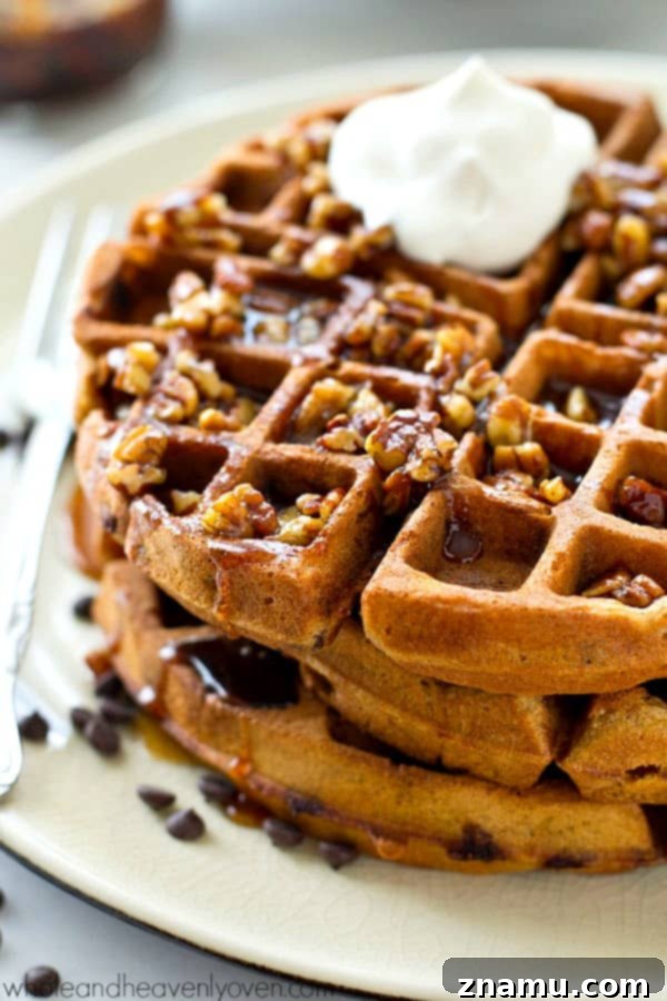 Pecan Maple Drizzled Gingerbread Chocolate Chip Waffles 5 Crisp on the outside, fluffy on the inside, and covered with an unbelievable pecan maple syrup, these gingerbread chocolate chip waffles are going to become a weekend favorite!