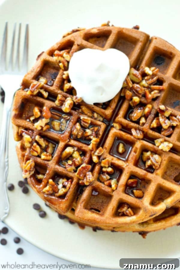 Pecan Maple Drizzled Gingerbread Chocolate Chip Waffles 7 Crisp on the outside, fluffy on the inside, and covered with an unbelievable pecan maple syrup, these gingerbread chocolate chip waffles are going to become a weekend favorite!