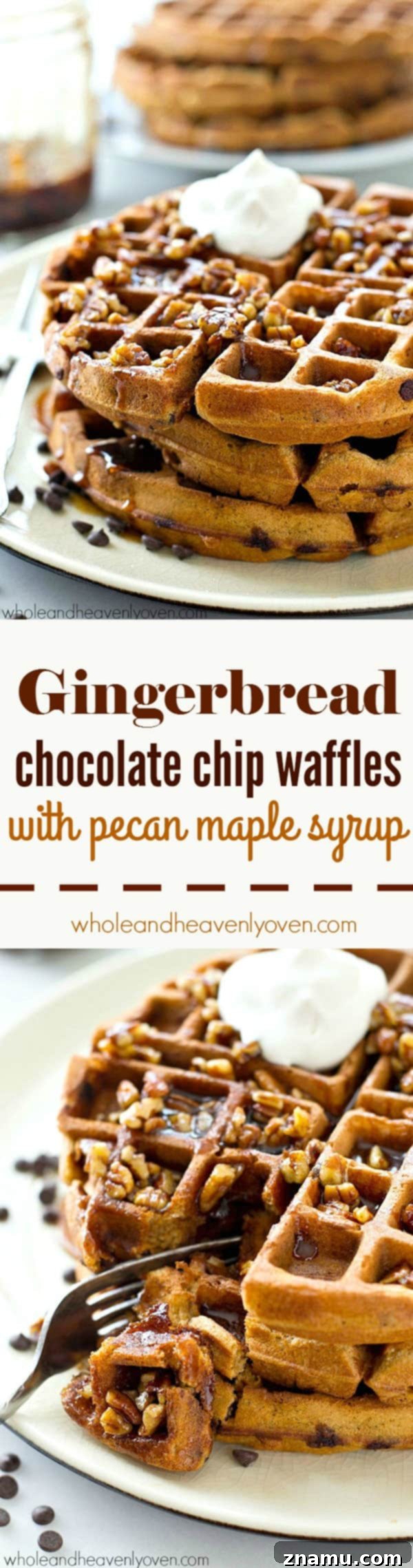 Pecan Maple Drizzled Gingerbread Chocolate Chip Waffles 8 Crisp on the outside, fluffy on the inside, and covered with an unbelievable pecan maple syrup, these gingerbread chocolate chip waffles are going to become a weekend favorite!