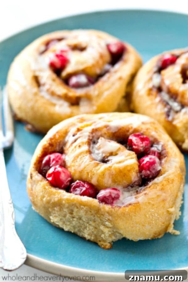 Dreamy Overnight Eggnog Cranberry Cinnamon Rolls 3 Closeup of Eggnog Cranberry Cinnamon Rolls showing soft dough and vibrant cranberries