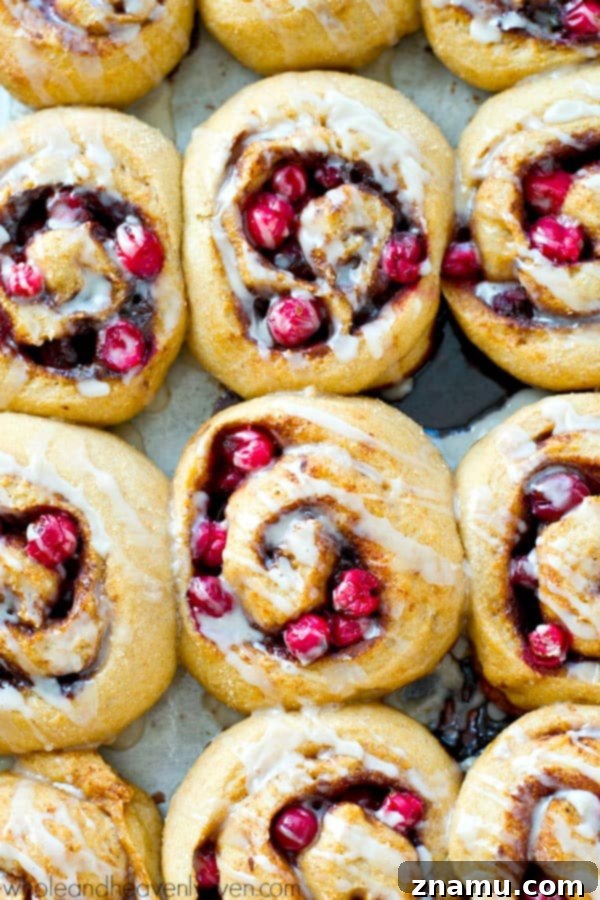 Dreamy Overnight Eggnog Cranberry Cinnamon Rolls 4 A tray of unbaked Eggnog Cranberry Cinnamon Rolls, perfectly rolled and ready for overnight proofing