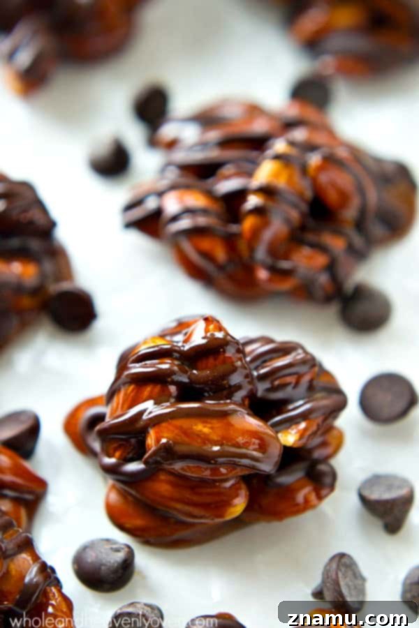 Almond Caramel Dark Chocolate Bites 5 Ingredients for Dark Chocolate Caramel Almond Clusters laid out, including almonds, chocolate chips, and caramel components.