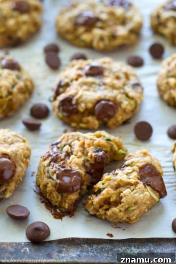Wholesome zucchini oat breakfast cookies, filled with hidden veggies and chocolate chips for a nutritious start to the day.