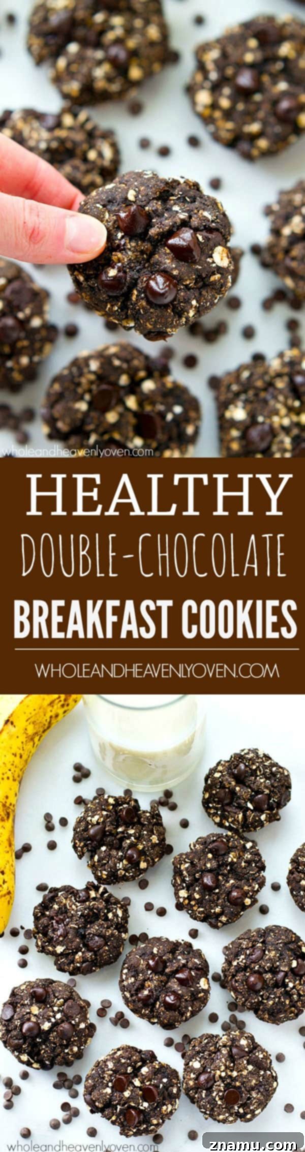 Overhead shot of more healthy breakfast cookies, scattered with extra chocolate chips for visual appeal.
