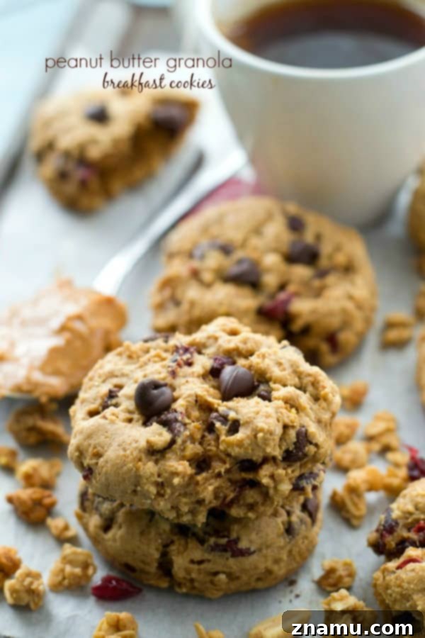 Delicious peanut butter granola breakfast cookies, packed with wholesome ingredients, perfect for a grab-and-go morning.