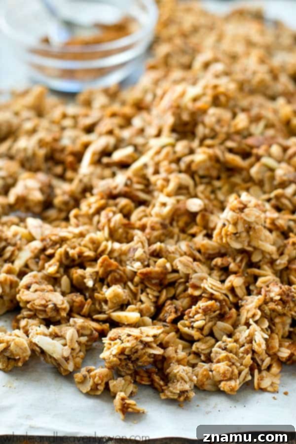 A spoonful of crunchy almond butter chai spice granola, ready to be enjoyed as a snack or breakfast topping
