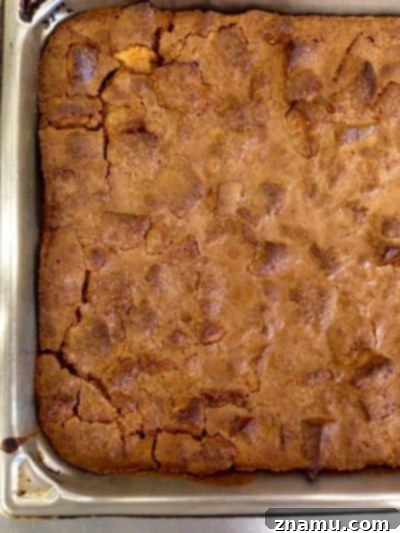 Sizzling Starts: My Culinary School Debut 15 Chocolate Bread Pudding with Bourbon Sauce