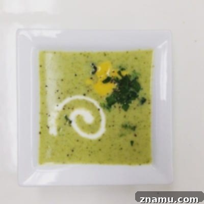 Sizzling Starts: My Culinary School Debut 24 Soup Swirl Attempt 2