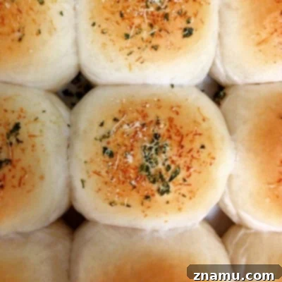 Sizzling Starts: My Culinary School Debut 30 Homemade Dinner Rolls
