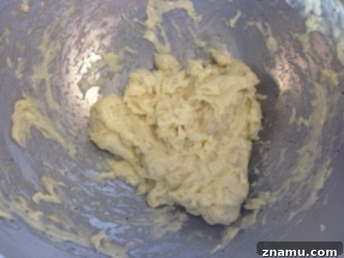 Sizzling Starts: My Culinary School Debut 9 Homemade Mayonnaise by Hand