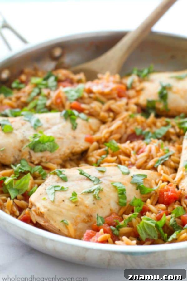 Creamy One-Pot Chicken Pot Pie Fettuccine 11 Ready in 30 minutes and made in only one pot, this Italian-style chicken and orzo pasta is total comfort food that anyone can make it's so easy!