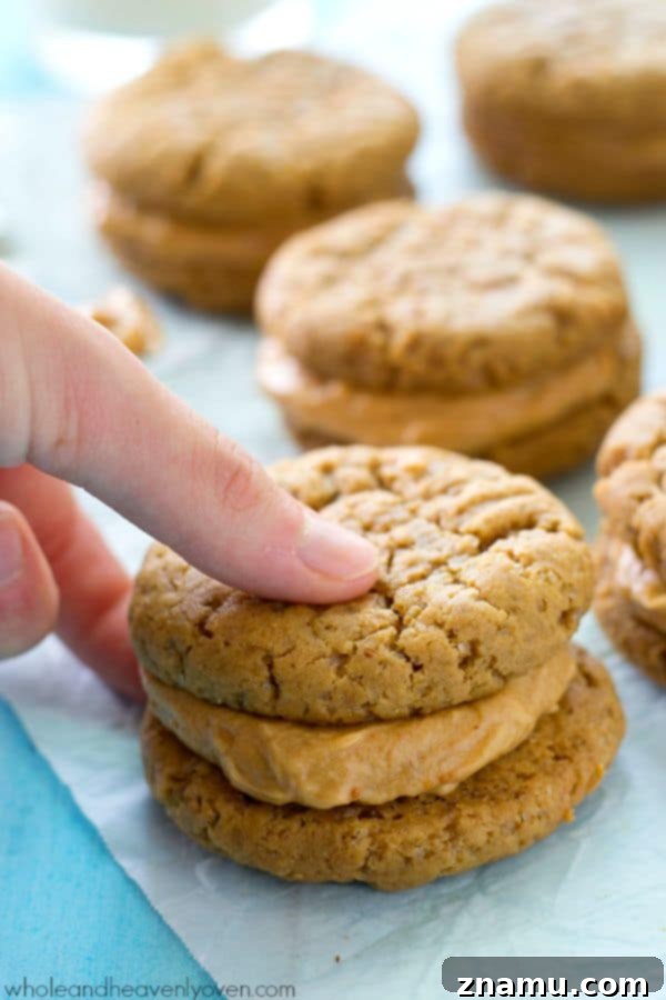 Homemade Dark Chocolate Snickerdoodle Peanut Butter 10 Homemade Extra-Chewy Peanut Butter Sandwich Cookies with creamy filling