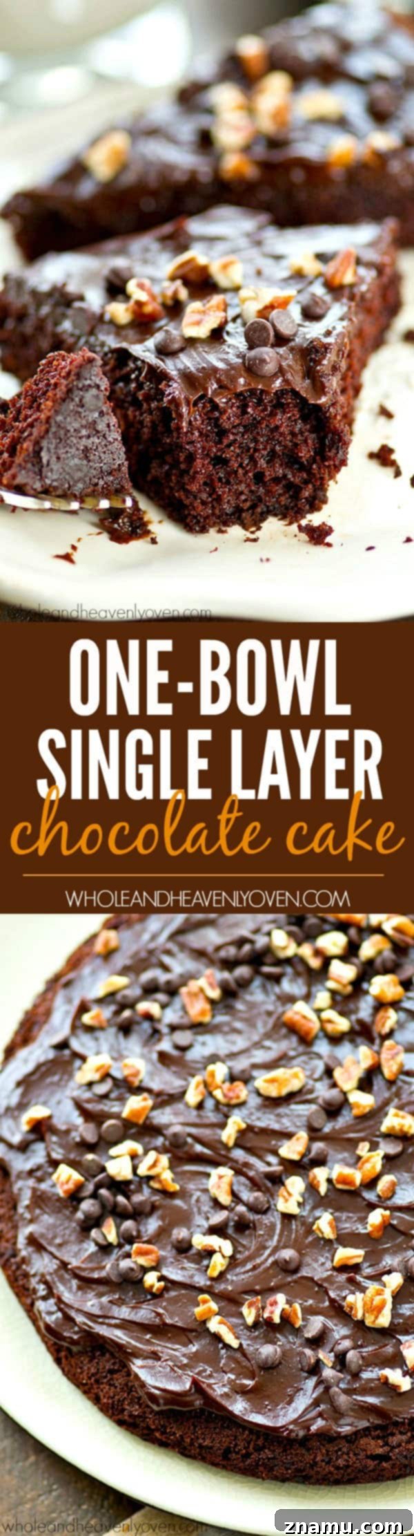 Foolproof One-Bowl Chocolate Cake 8 Quick & Easy Chocolate Cake with Homemade Frosting: Perfect Dessert