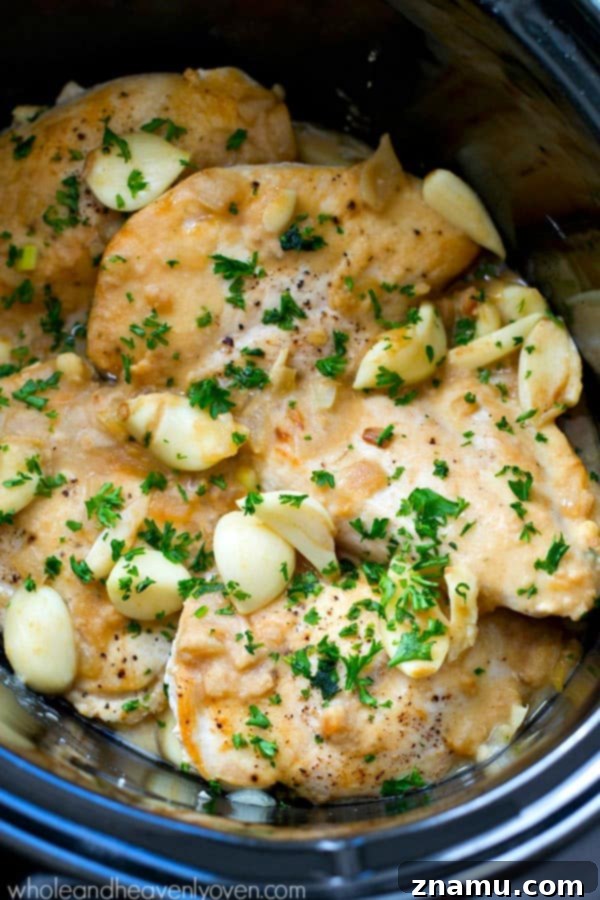Cooked crockpot chicken with a spoon revealing the creamy, garlic-infused sauce.