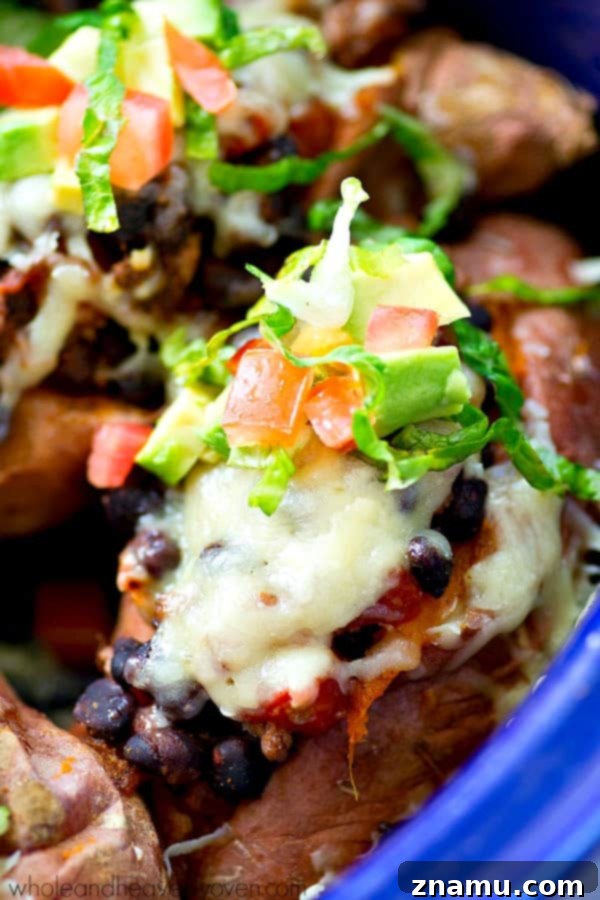 Fiesta Loaded Sweet Potato Shells 3 Close-up of a taco-stuffed sweet potato fresh from the crockpot, topped with melted cheese