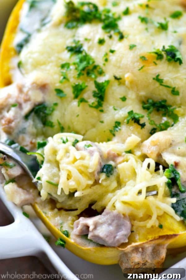 Creamy Spinach Chicken Alfredo Spaghetti Squash Boats 3 Close-up of creamy chicken alfredo and spinach filling in a spaghetti squash boat, ready to be baked
