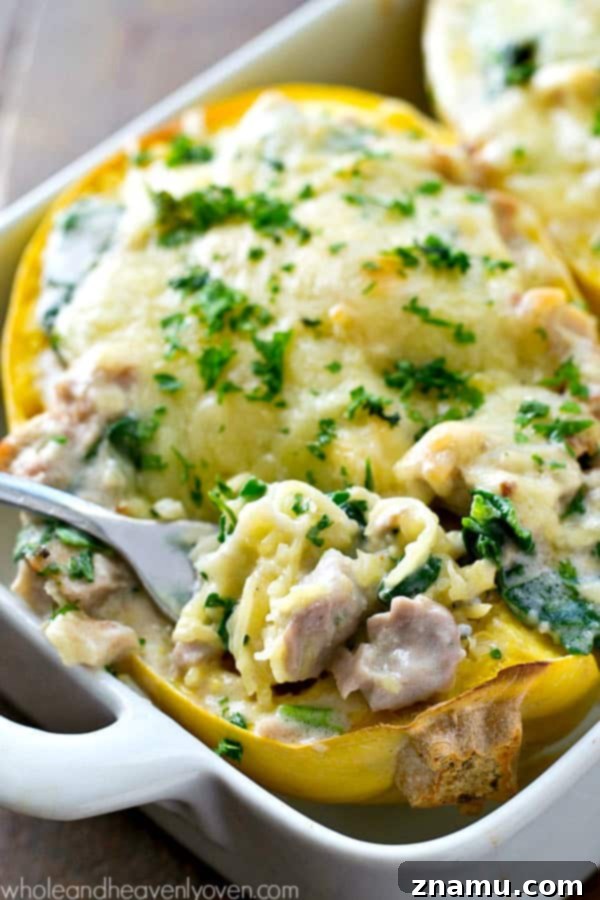 Creamy Spinach Chicken Alfredo Spaghetti Squash Boats 4 Three golden brown chicken alfredo spaghetti squash boats, fresh from the oven, with bubbly cheese