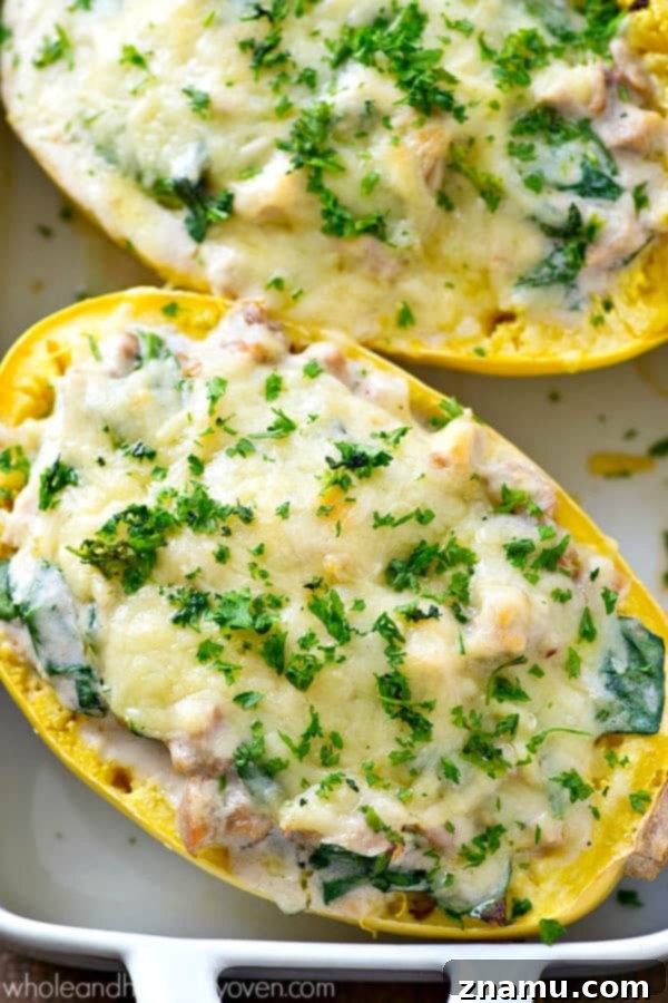 Creamy Spinach Chicken Alfredo Spaghetti Squash Boats 5 An overhead shot showing the generous filling of chicken alfredo and spinach in a spaghetti squash boat before baking