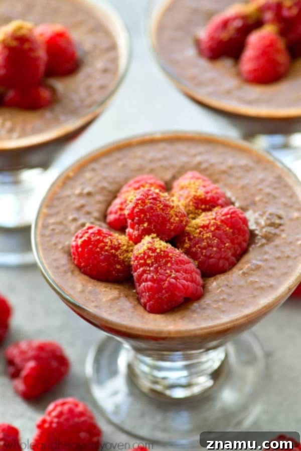 Mocha Raspberry Chia Dream 2 Extra-creamy and made completely in the fridge, this mocha-flavored raspberry chia seed pudding is the perfect way to get your healthy sweet tooth fix!