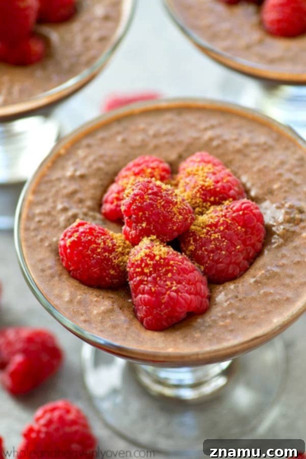 Mocha Raspberry Chia Dream 3 Extra-creamy and made completely in the fridge, this mocha-flavored raspberry chia seed pudding is the perfect way to get your healthy sweet tooth fix!